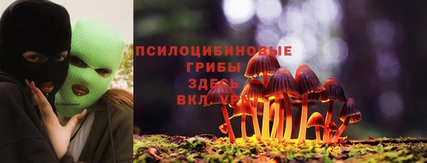таблы Новозыбков