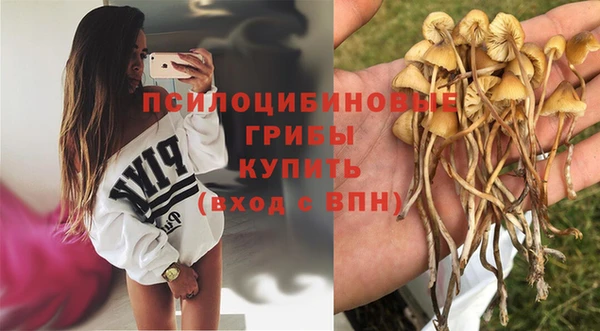 таблы Новозыбков