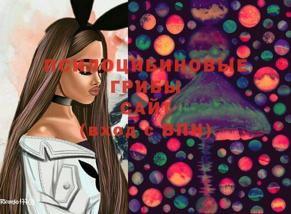 соль курить ск Нея