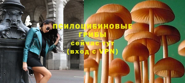 соль курить ск Нея