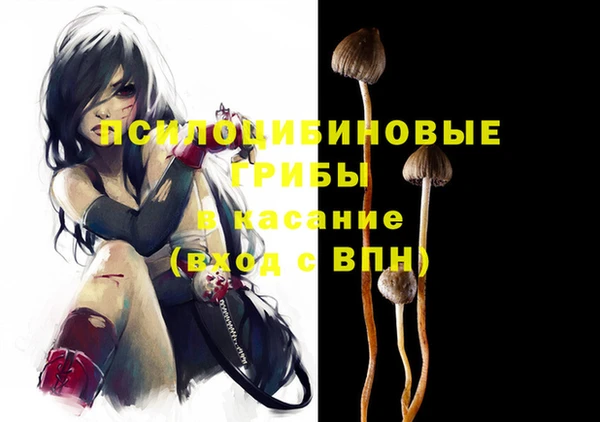 таблы Новозыбков