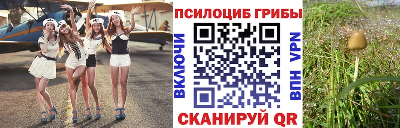Псилоцибиновые грибы ЛСД  ОМГ ОМГ зеркало  Тайга 
